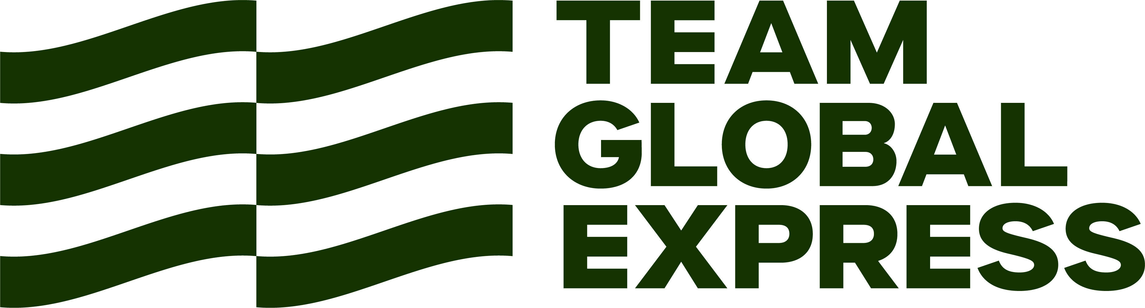 Team Global Express